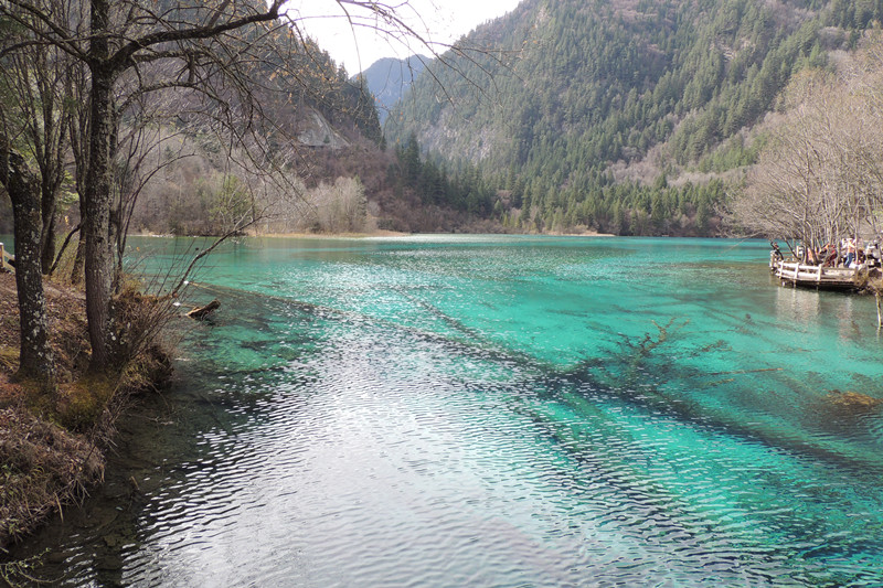 DSCN3584_.jpg