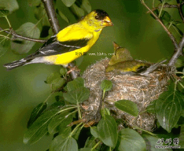 u=1063712823,1270920264&amp;fm=23&amp;gp=0[1].gif