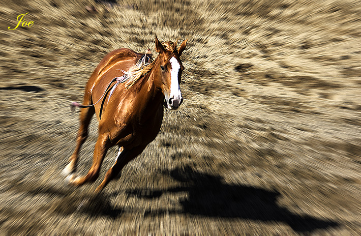 Picture 730.jpg-2.jpg