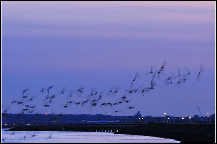DSC_1728.jpg
