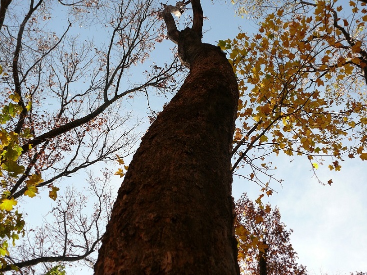 L1100258.JPG