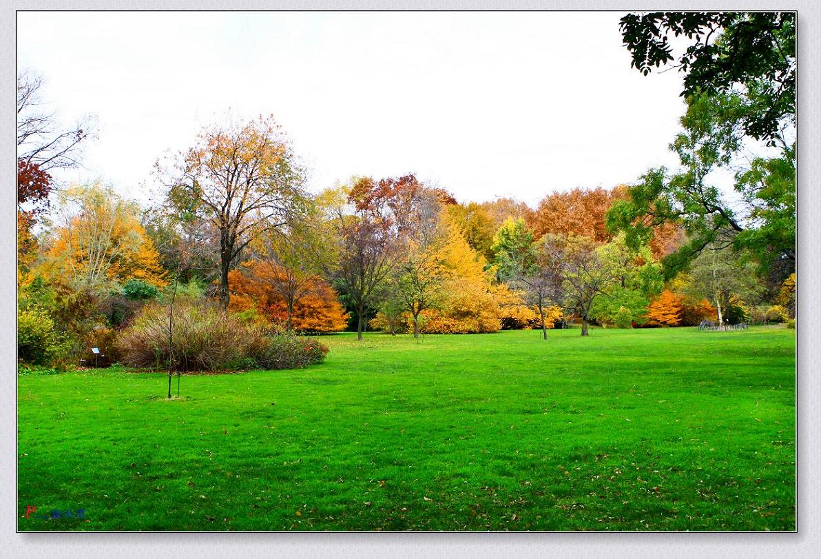 �}�u -��ɫ3 111-2.jpg