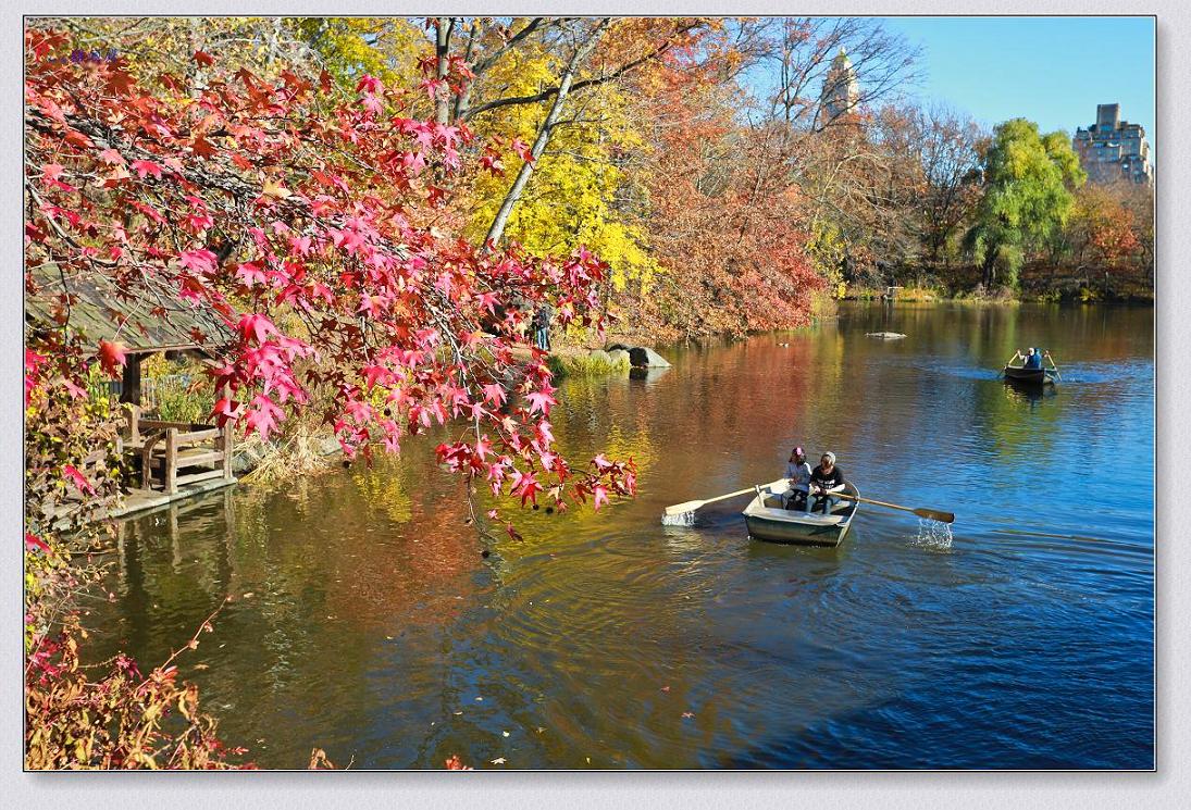 11-18-13���빫�@��ɫ 218-2.jpg