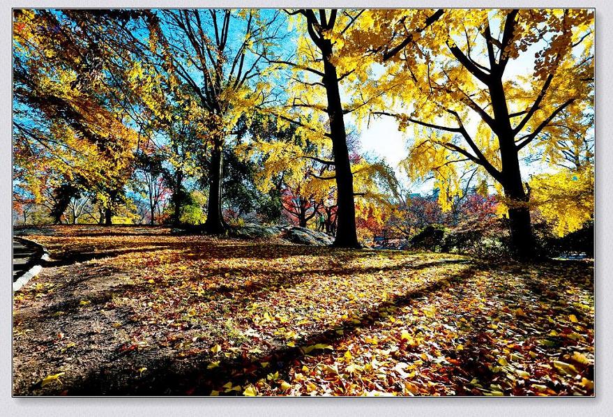 �}�u -0222-1.jpg