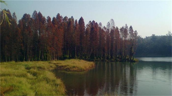 IMG_20131231_102533_ͼ.jpg