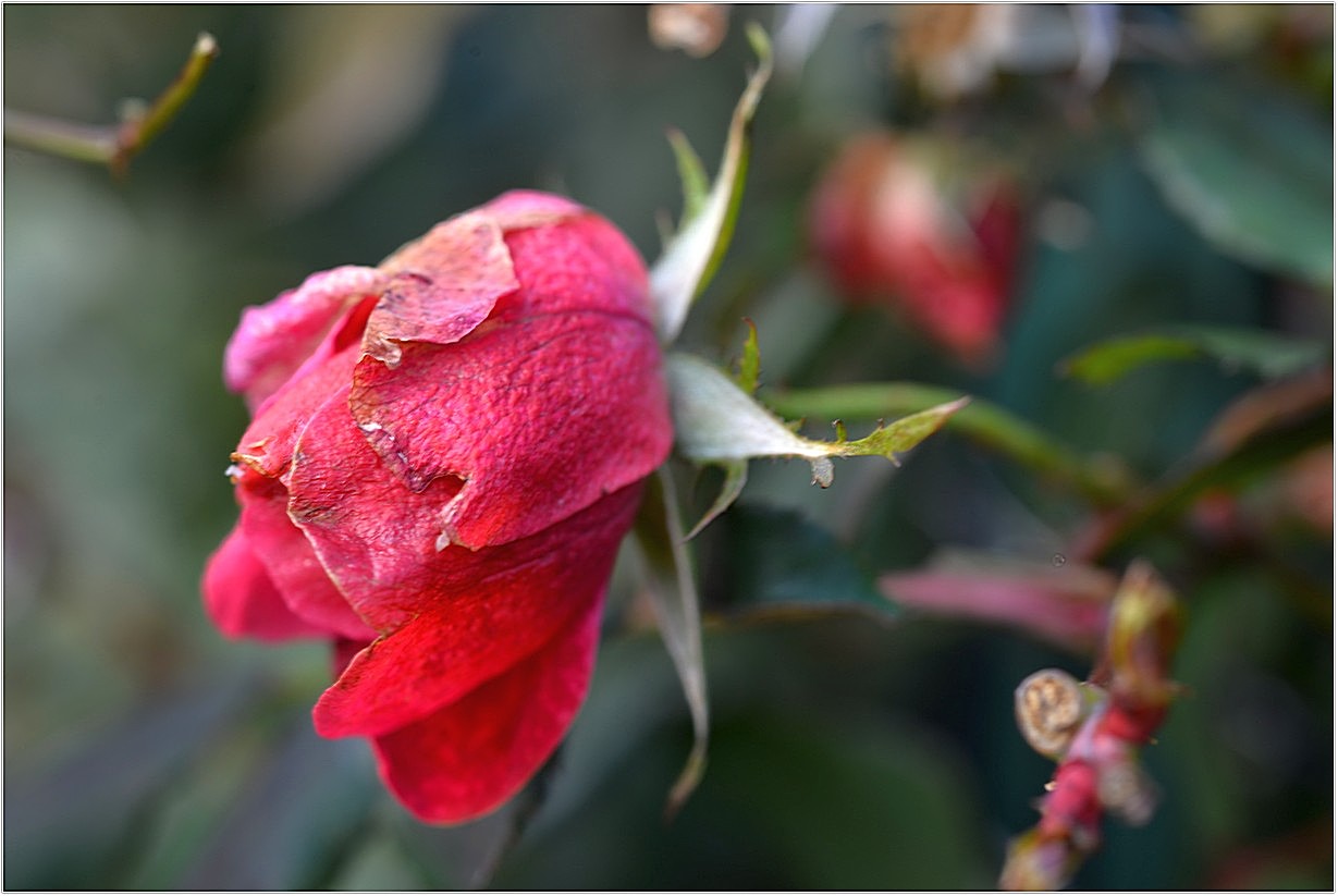 DSC_6828.jpg