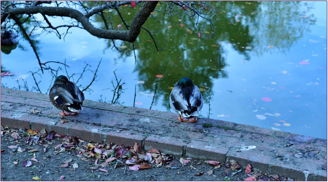 DSC_5653.jpg