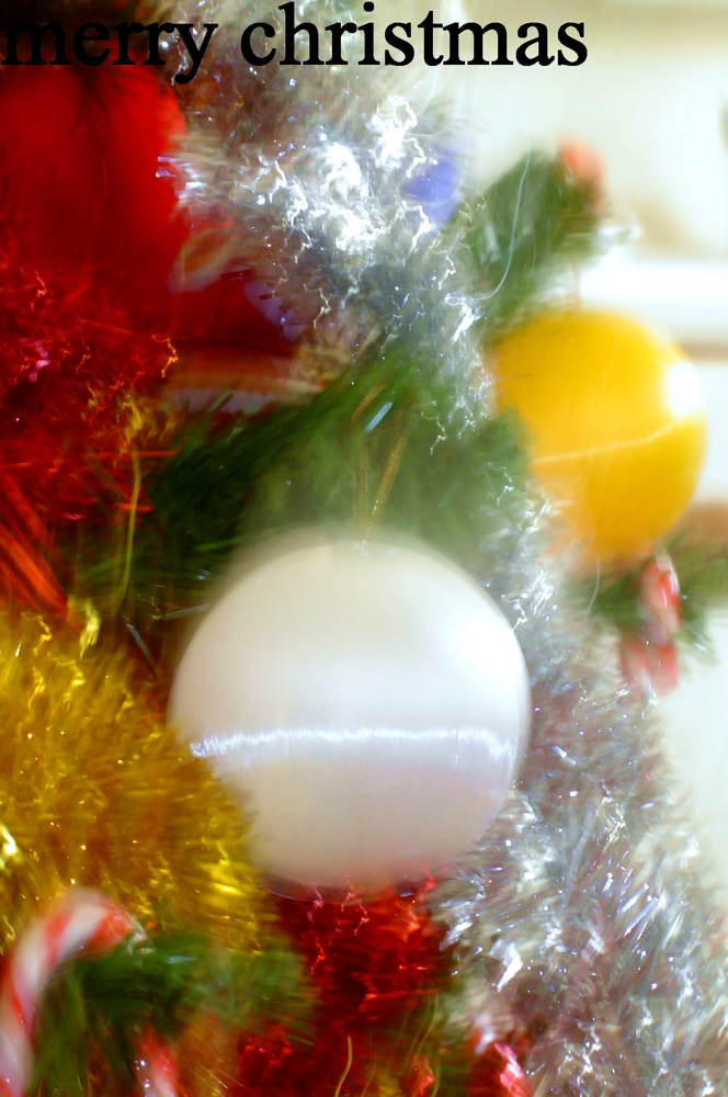 12-20-2004 1-40-38 PM.jpg