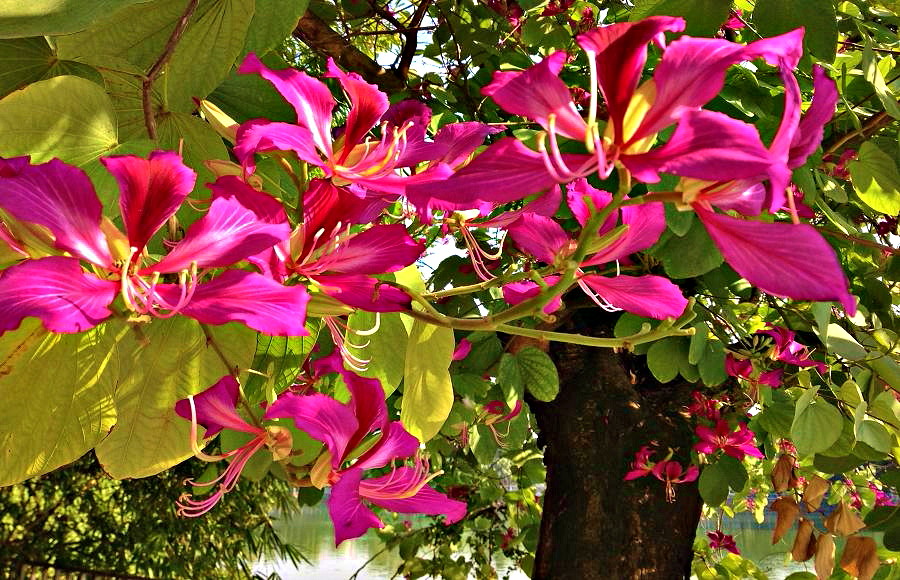 IMG_1201.JPG