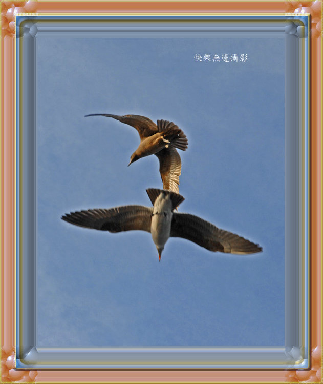 18 copy_����.jpg