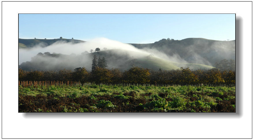 5a copy_����.jpg