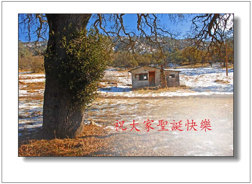 17 copy_����.jpg