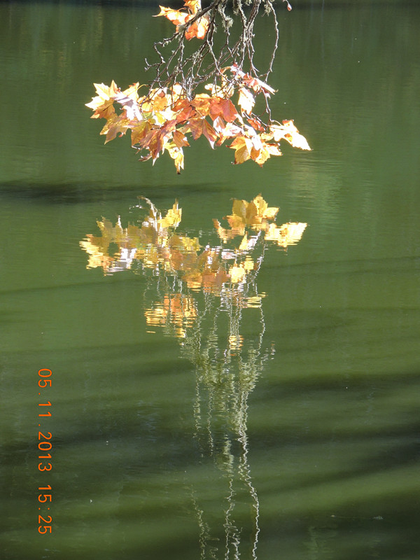 Golden gate park 661_.jpg