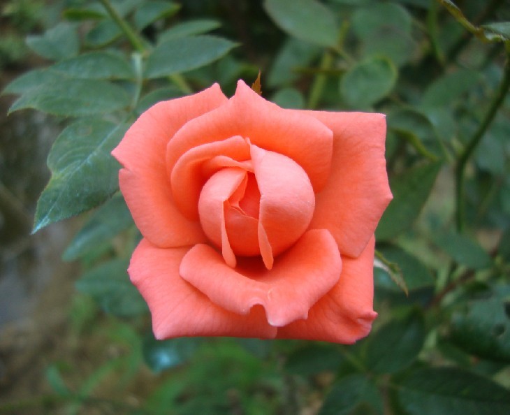 s022.jpg
