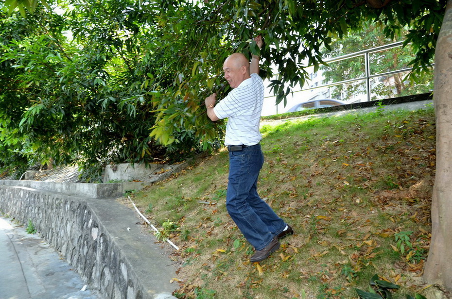 DSC_0801.jpg
