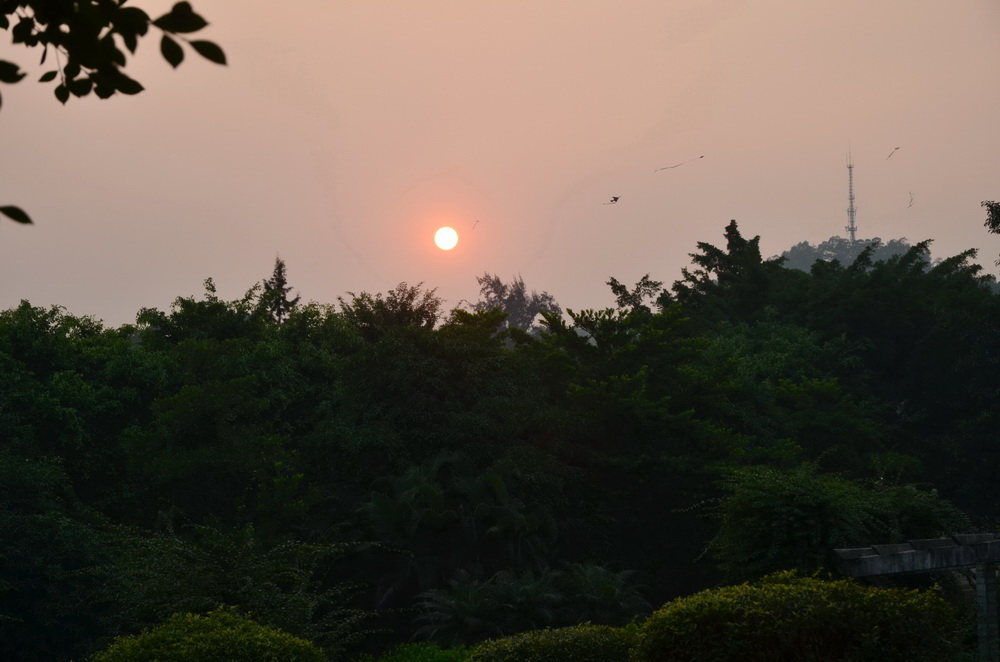 DSC_1192.jpg