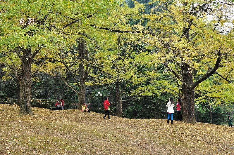 DSC_91575.jpg