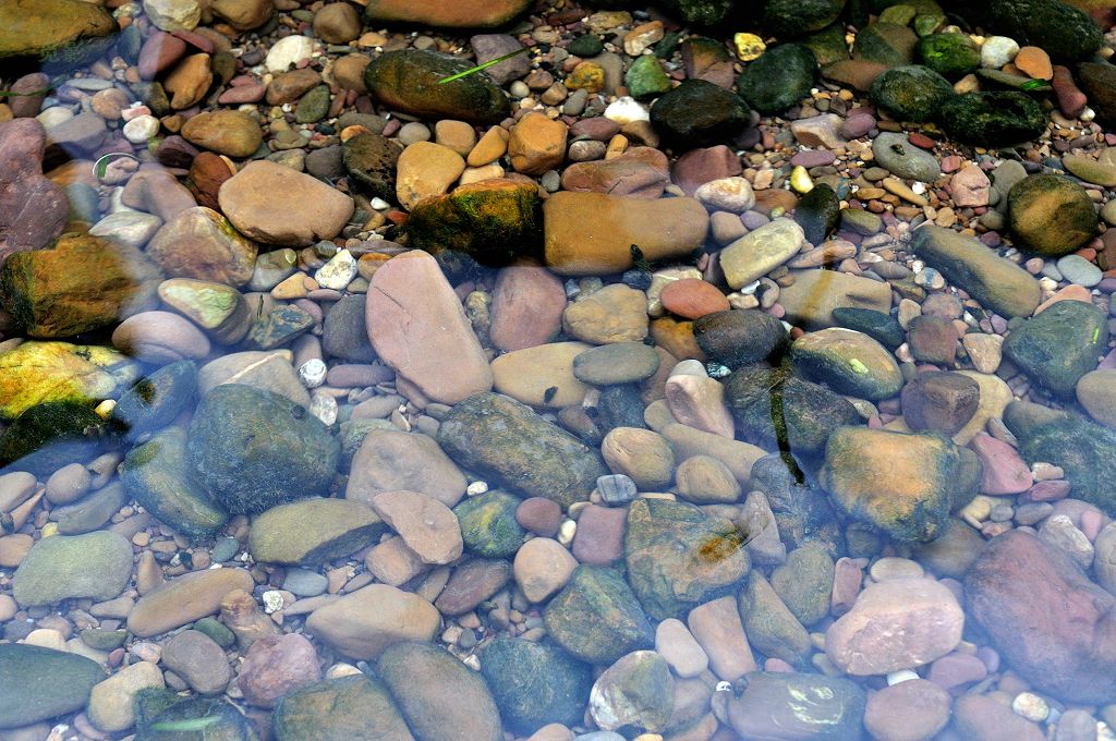 DSC_92393.jpg