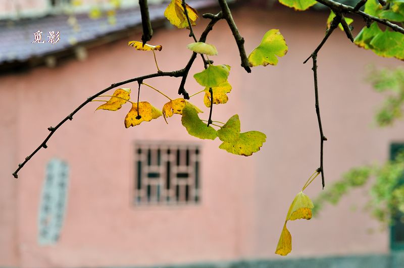 DSC_91462.jpg