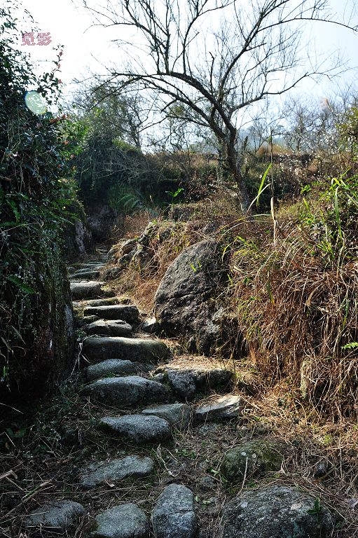 DSC_3591.jpg