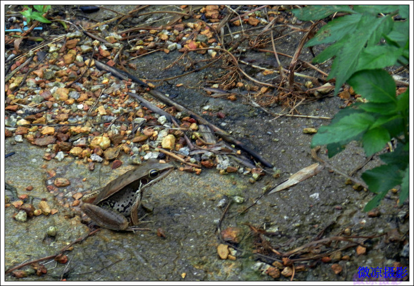 DSCN4385.JPG