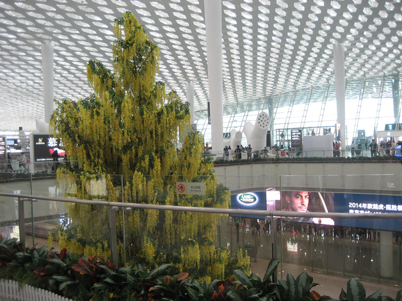 ڻ 017_.jpg