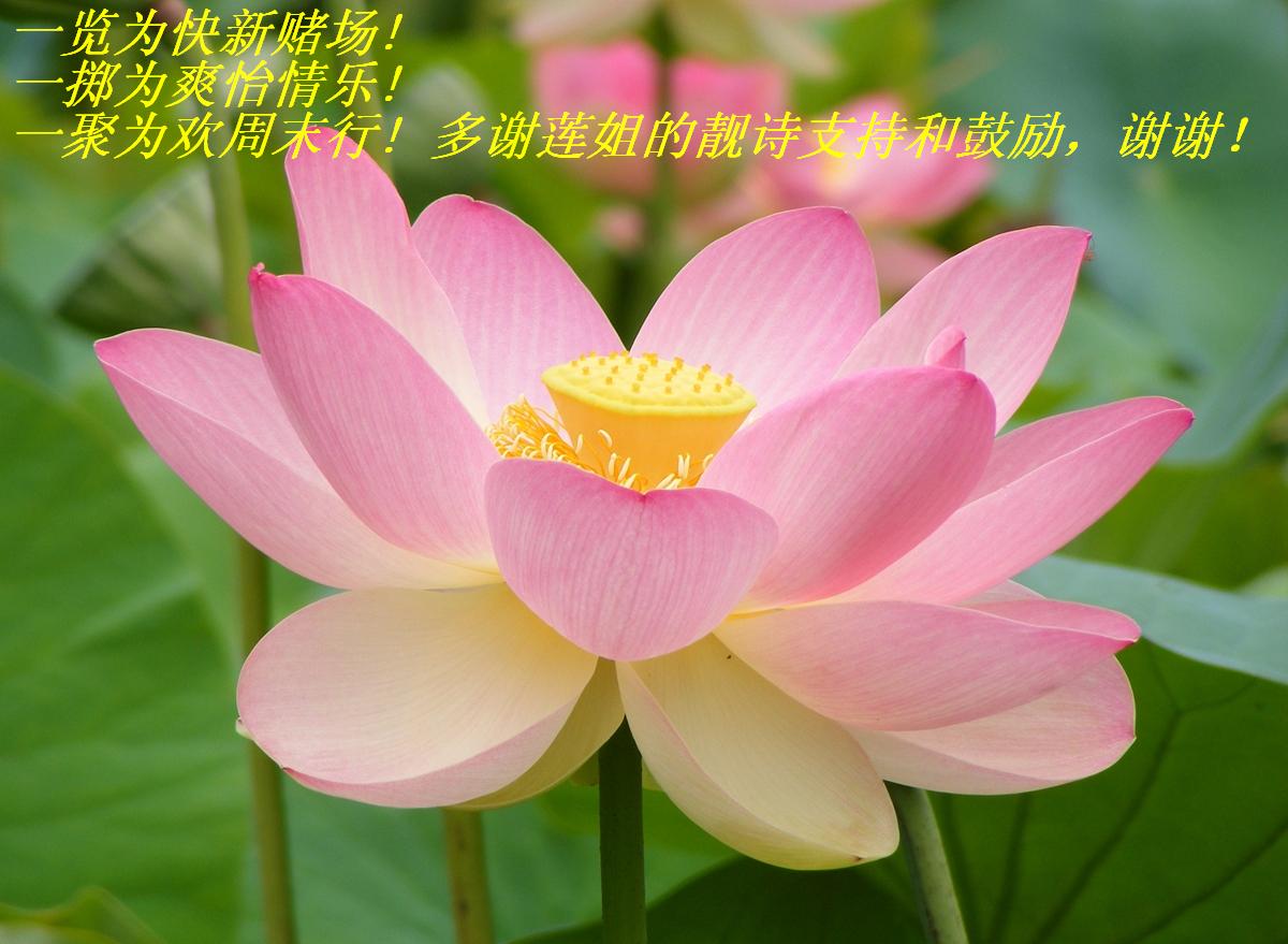 лʫֺ֧͹.JPG