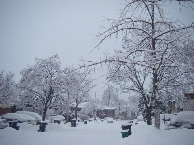 yɫȻ 019.JPG