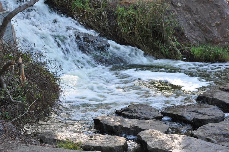 Golden gate park 267_.jpg