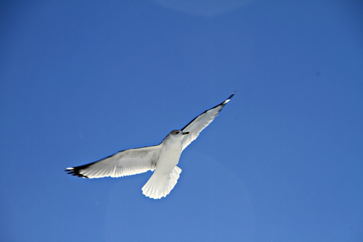 IMG_8982.jpg