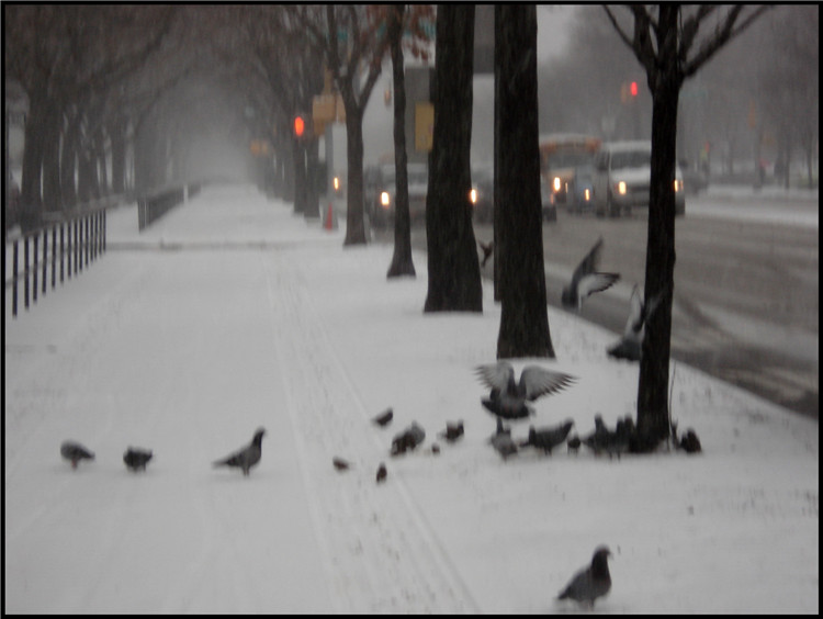 DSC00022.jpg