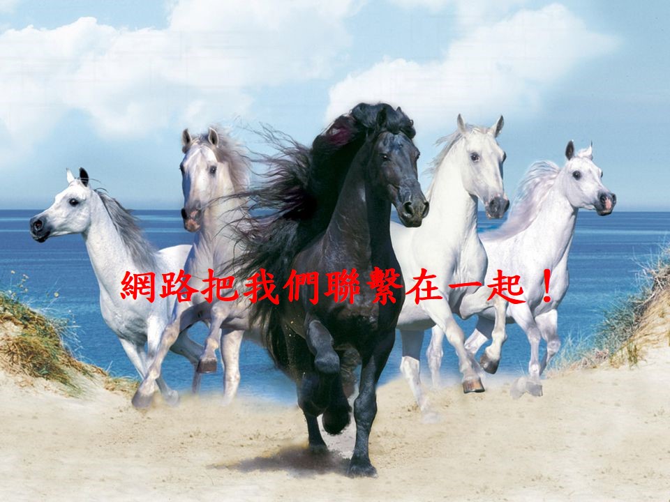 Slide14.JPG