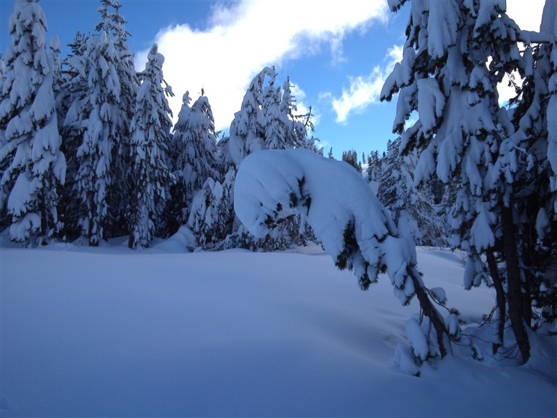 snow.jpg