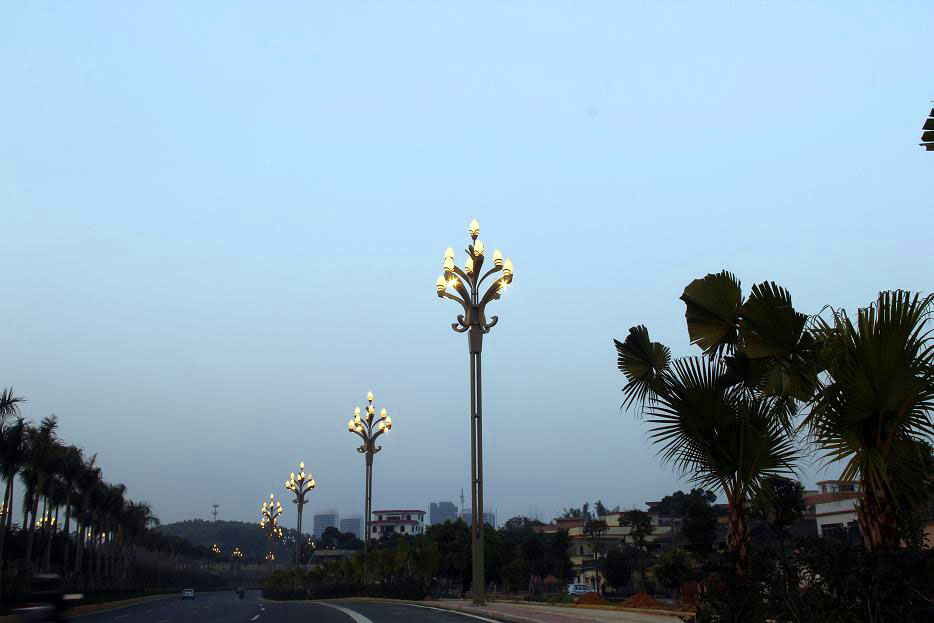 _MG_6586.JPG