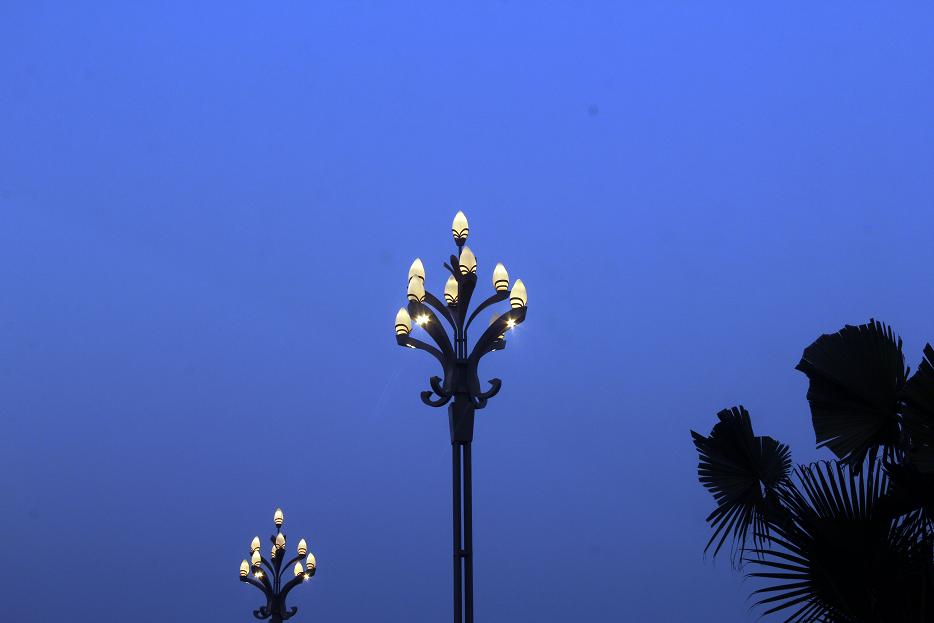 _MG_6593.JPG