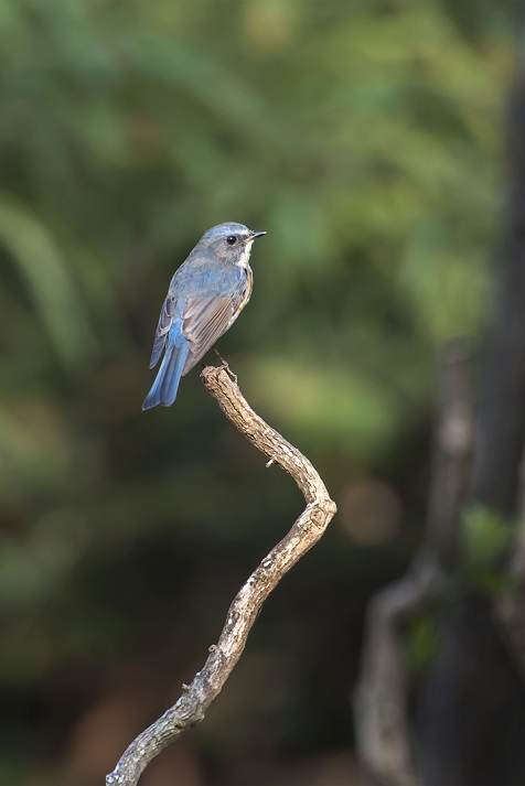 ���� ����.jpg