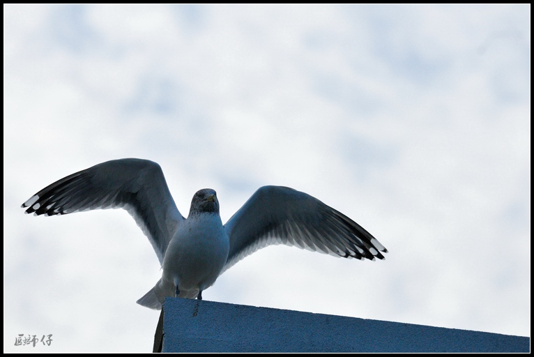 DSC_1367.jpg