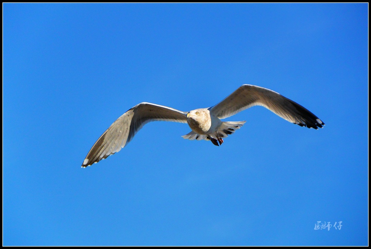 DSC_0109__.jpg