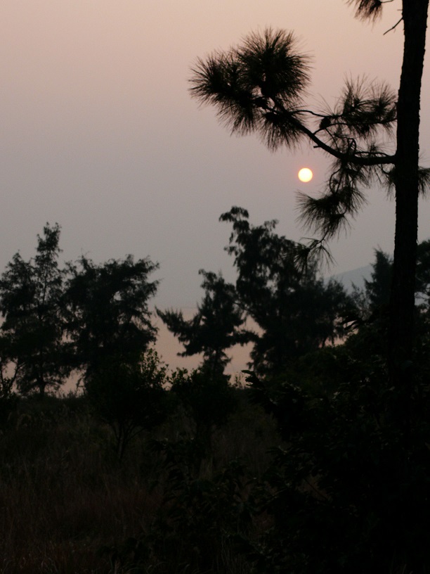 L1180338.JPG
