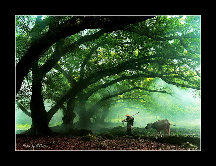 DSC_2986C1.jpg