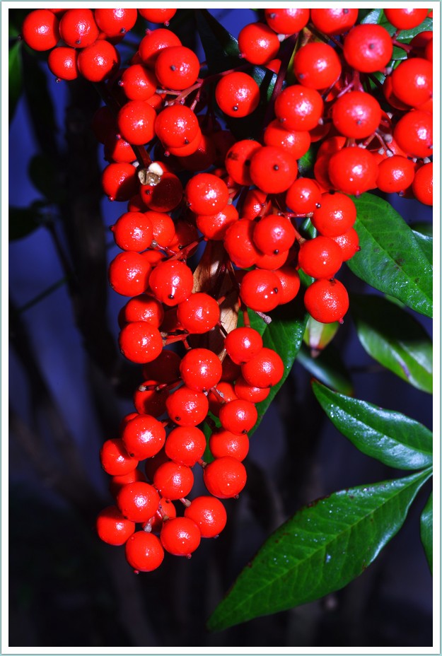 DSC_8154.jpg