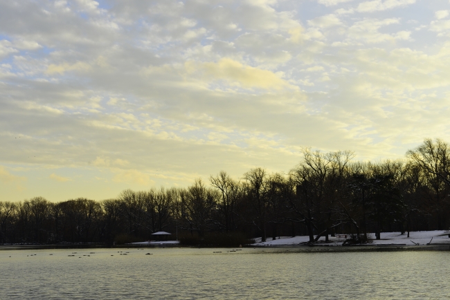 _DSC7830_01.JPG
