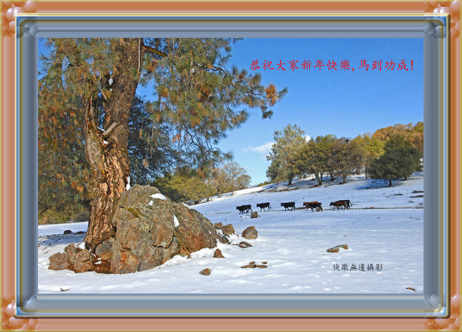 19 copy_���� copy.jpg