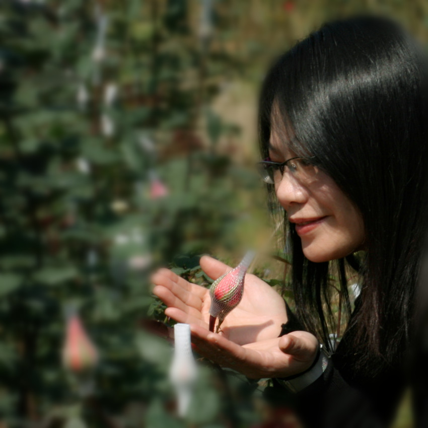 ���һ 005_����_����.jpg