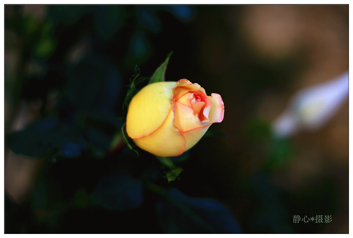 ���һ 191_����.jpg