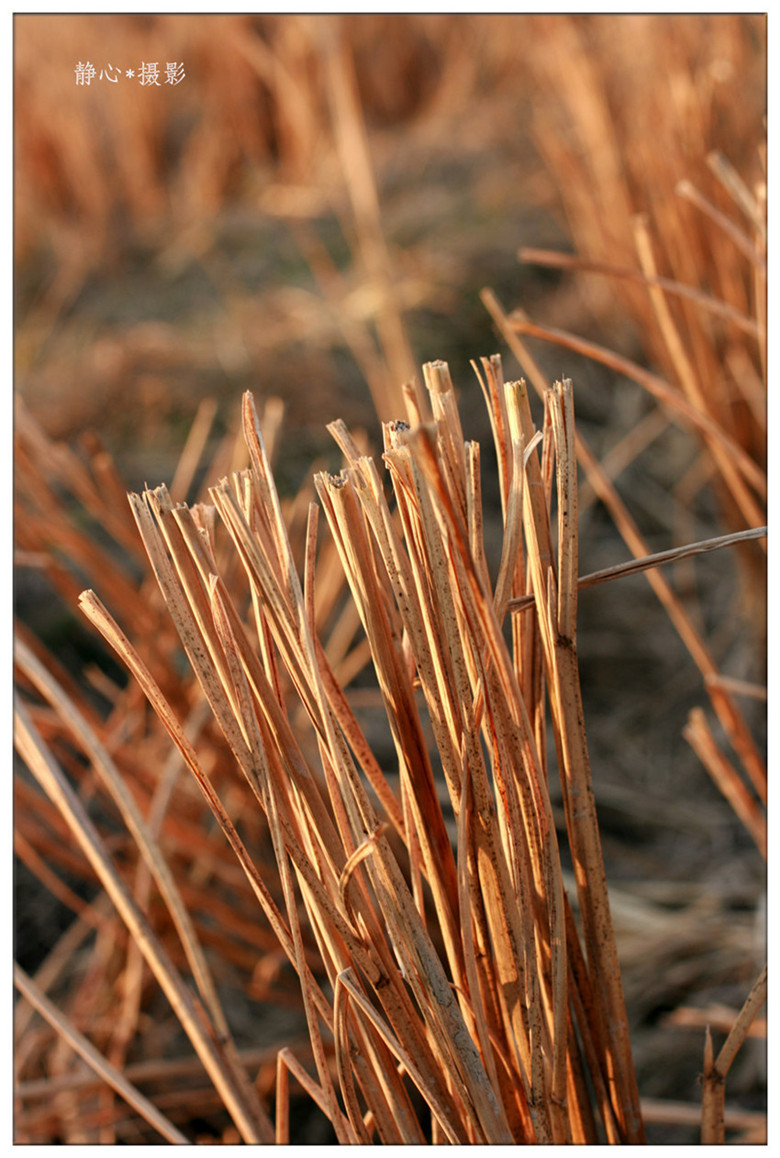 Ԫ�� 141_����_����_����_����.jpg