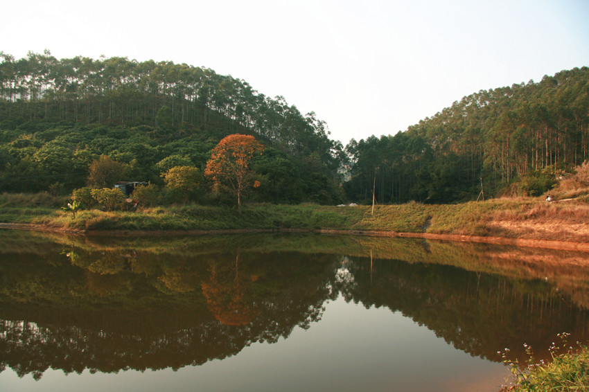 Ԫ�� 045_����.jpg