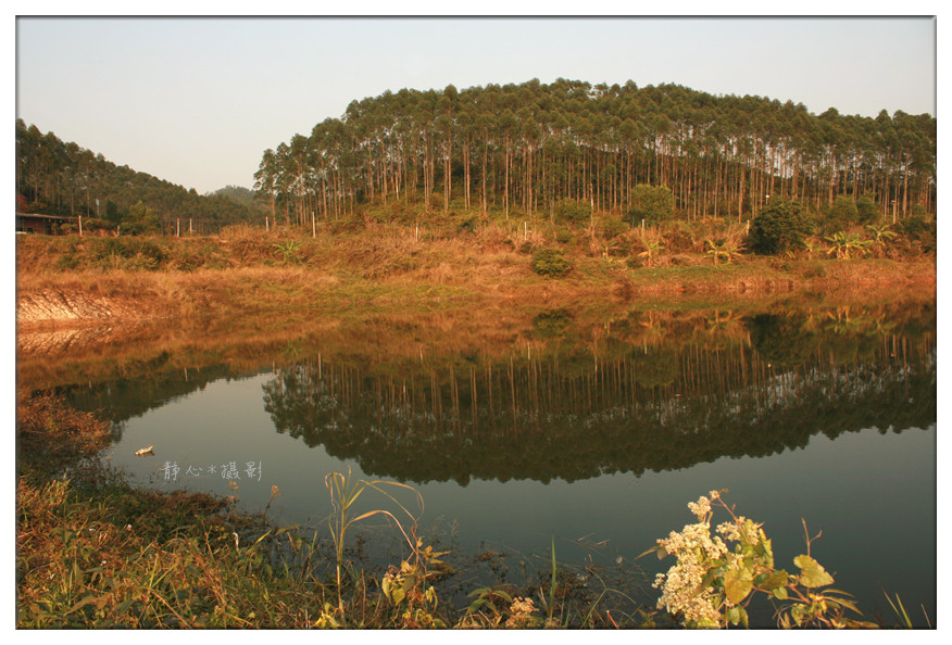 Ԫ�� 062_����.jpg