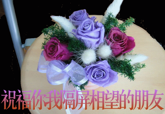 mmexport1381205017878.gif