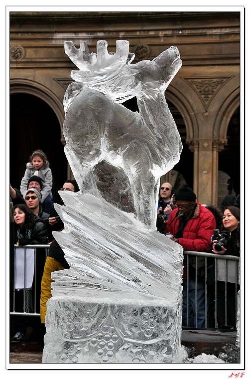 ѩ(2014)-1 237-1.jpg